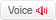 Voice