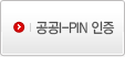 ����������(I-PIN) ����