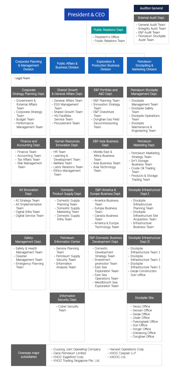 organization1