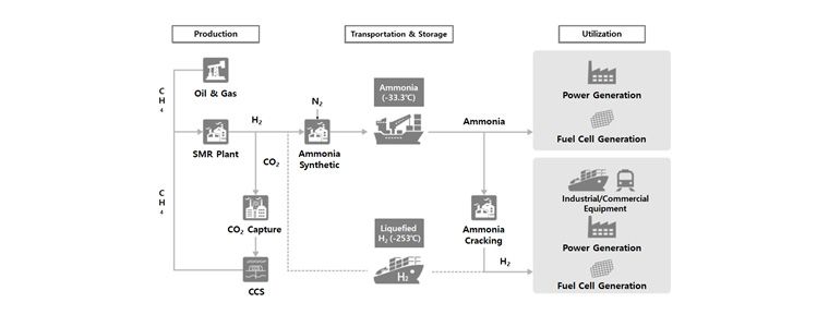 Establishment of Full Cycle, Value Chain Ammonia-Hydrogen project