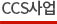 CSS 