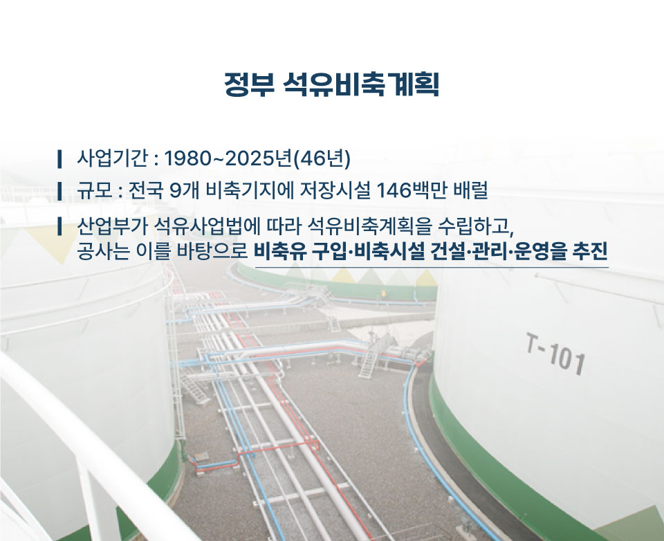 ���� ���������ȹ