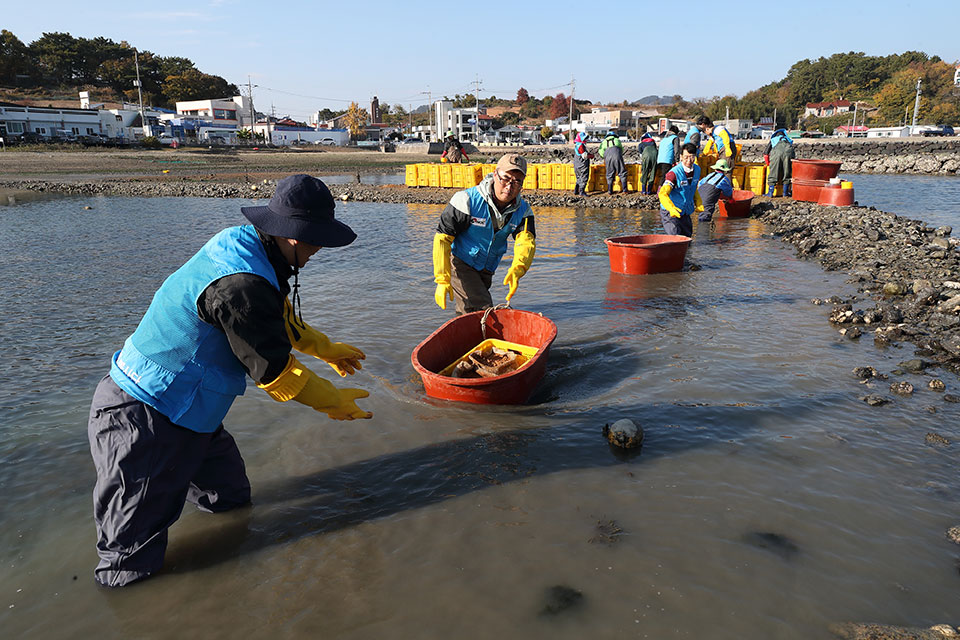 ���� �� ���� Ȱ�� ����