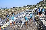 11( )  